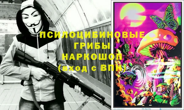 сатива Куйбышев